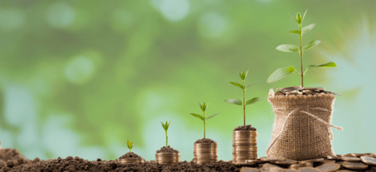 Bonds vs Fixed Deposits: Which is the Better Investment Choice?