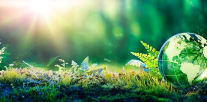 Green Bonds: Meaning, Types, Benefits and More
